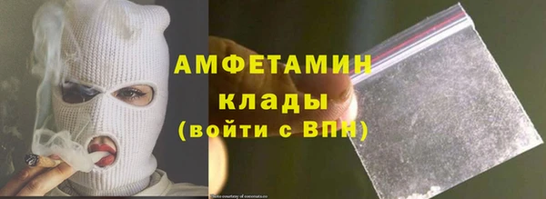 гидра Каменногорск