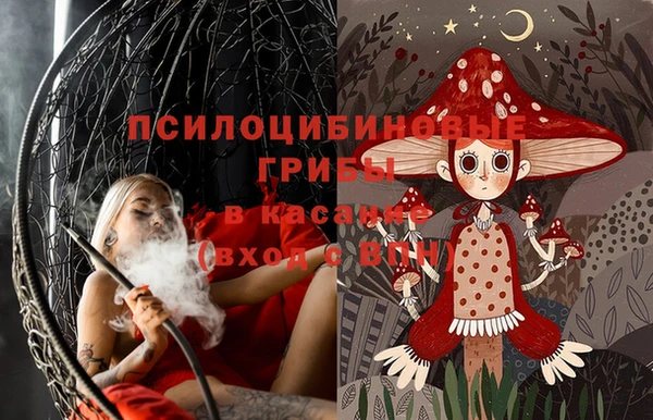 спиды Карталы
