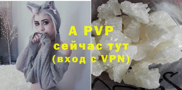 спиды Карталы