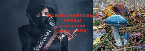 наркотики Карпинск