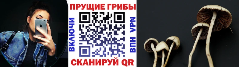 Галлюциногенные грибы ЛСД  купить наркоту  Невинномысск 
